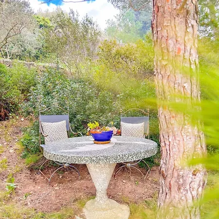 Joli T2 Avec Terrasse à *