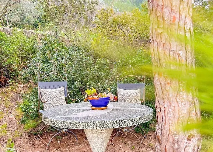 Joli T2 Avec Terrasse A *